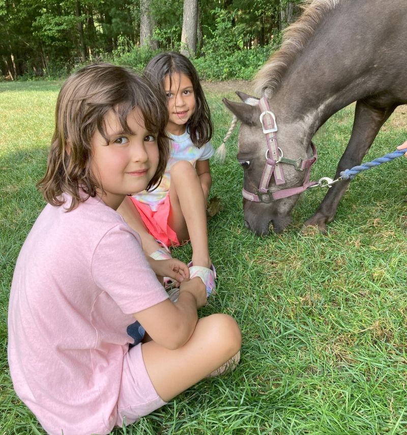 What's On at Summer Camp